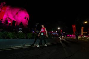 BIB: 
                            <button type="button" onclick="openModal(26552661)" class="btn btn-primary btn-sm float-right btn-popup" data-toggle="modal" data-target=".modal-high-quality">
                        <i class="fas fa-shopping-cart"></i> Add to Cart
                    </button>
                                            <button type="button" onclick="isThisMe(26552661, true)" class="btn btn-success btn-sm float-right btn-popup btn-isme hidden" data-toggle="tooltip" data-placement="bottom" title="นี่คือรูปของคุณใช่ไหม คลิกที่นี่เพื่อเอาเข้าอัลบั้ม">
                        <i class="fas fa-plus"></i> Add to album
                    </button>
                    <button type="button" onclick="isThisMe(26552661, false)" class="btn btn-warning btn-sm float-right btn-popup btn-isnotme hidden">
                        <i class="fas fa-ban"></i> Remove from album
                    </button>